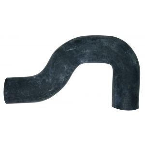 1002777C2 Hose, Lower Radiator 284