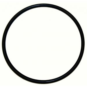 350840R1 Ring, Seal