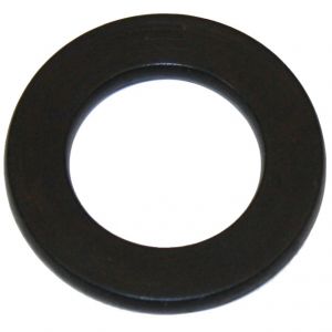 372818R1 Sealing Ring, Spool Valve Seal