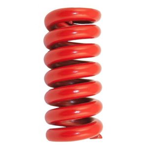 48930D Spring, Seat Coil
