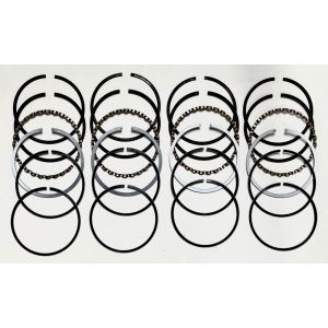 7366910 Piston Ring Set