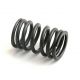 160908R1 Valve Spring