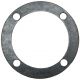 21839DC Gasket, Water Pump Bearing Retainer