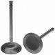 234275R1 Intake Valve