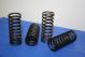 251262R2 Valve Spring, C60