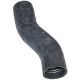 252305A1 Hose, Radiator