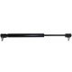 252550A2 Gas Strut, Rear Window MX