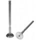 278302R1 Exhaust Valve