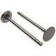 3040361R1 Intake Valve