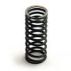 3044239R1 Inner Valve Spring