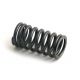 3049608R1 Valve Spring, BC144