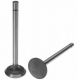 3055055R2 Intake Valve