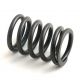 3055060R1 Valve Spring