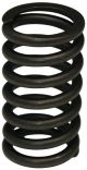 315744R1 Spring, Valve