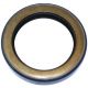 317549R91 Seal, Front Crankshaft