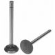 323774R1 Intake Valve