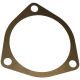 350794R1 Shim, Bearing Retainer .004