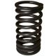 356951R1 Valve Spring