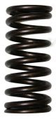 358197R1 Valve Spring