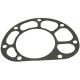 360543R2 Rear Axle Housing Gasket