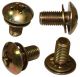 362593R91 Screw w/washer