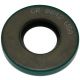 363781R91 Oil Seal, Thompson Pump