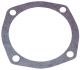 366838R1 Gasket, Final Drive