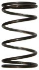 376422R1 Valve Spring, Centering