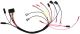 398924R1 Panel Harness, RH 756 w/Alternator