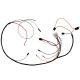 404847R2 Wiring Harness