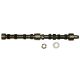 48196DBX Camshaft, M/400 New