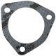 49116D Gasket, Front Wheel Hub