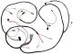 529657R2 Main Wiring Harness, 2400