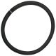 53527D Lens Gasket