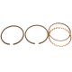 539353R1 Piston Ring Set - 060