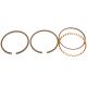 539354R1 Piston Ring Set - STD