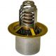 619736C2 Thermostat