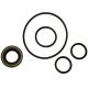 66004 Seal Kit, Char-Lynn Pump