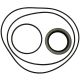 66487C91 Seal Kit, Brake Disc