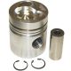 670294C1 Piston