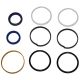 72843C91 Seal Kit, Steering Cylinder