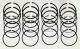 7366910 Piston Ring Set