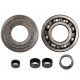 8302254 Bearing Kit, IPTO Output Shaft