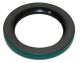 A76216 Oil Seal, IPTO Pilot Ring