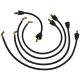 R6503 Plug Wire Set, Cub